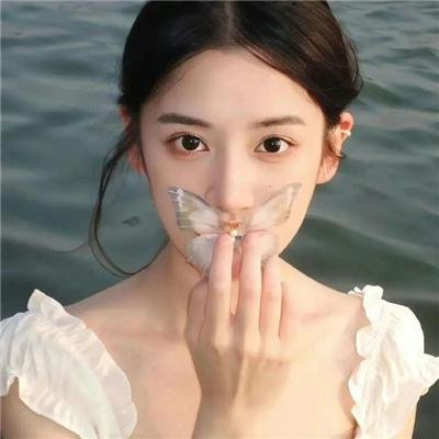 观鸟者